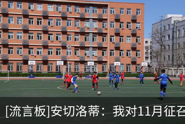 [流言板]安切洛蒂：我对11月征召已有清晰想法，但不会有太大调整